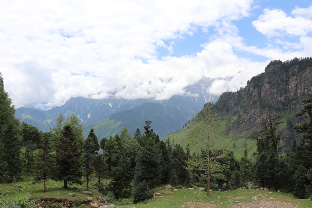 2 trekkers on a mountain path at a popular hill station in northern India surrounded by pine forest