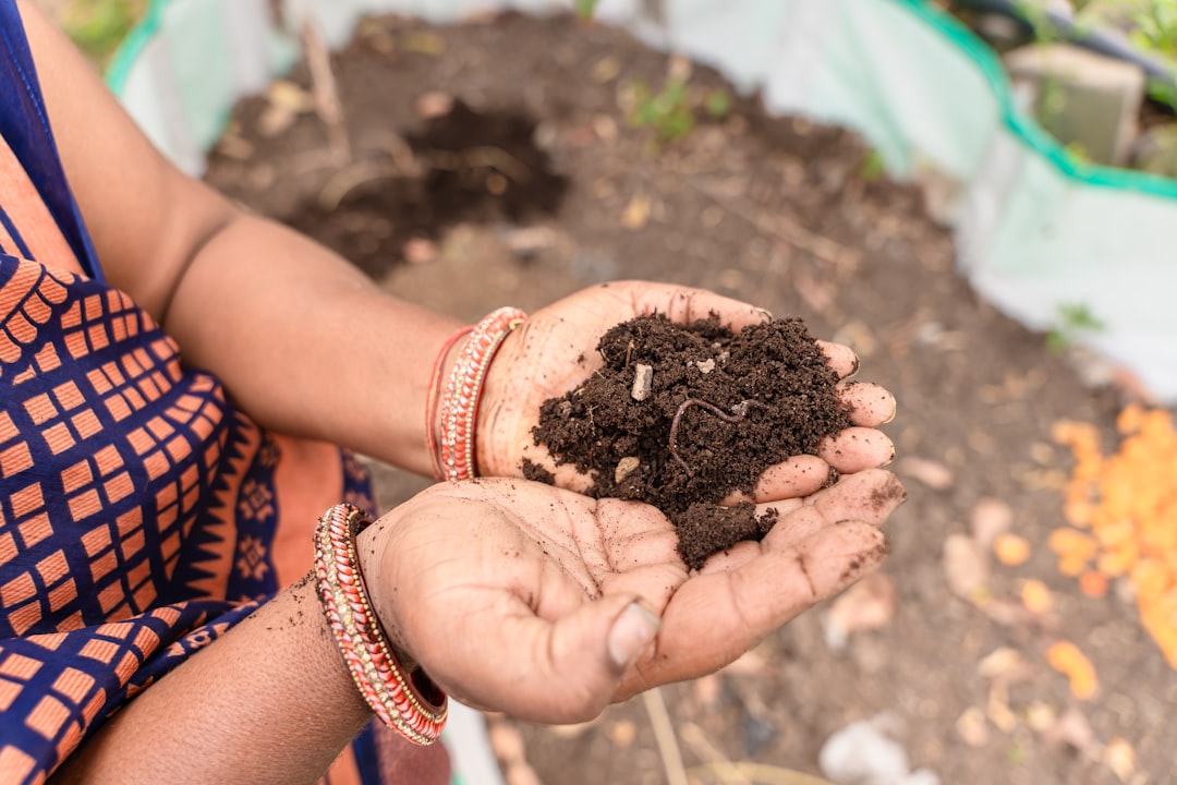 An Indian woman showing finished compost in hands