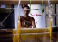 weaver-woman-handloom-silk-unsplash - INDIAwebzine A skilled woman artisan weaving handwoven silk sarees on a traditional loom in India